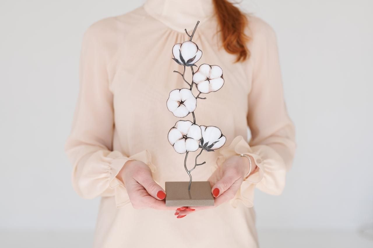 Cotton (Bavovna)