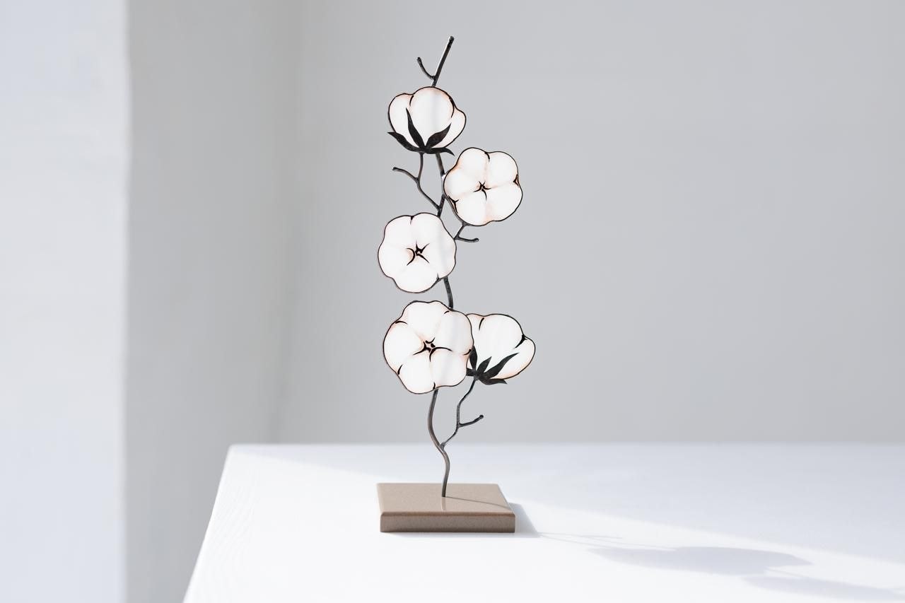 Cotton (Bavovna)