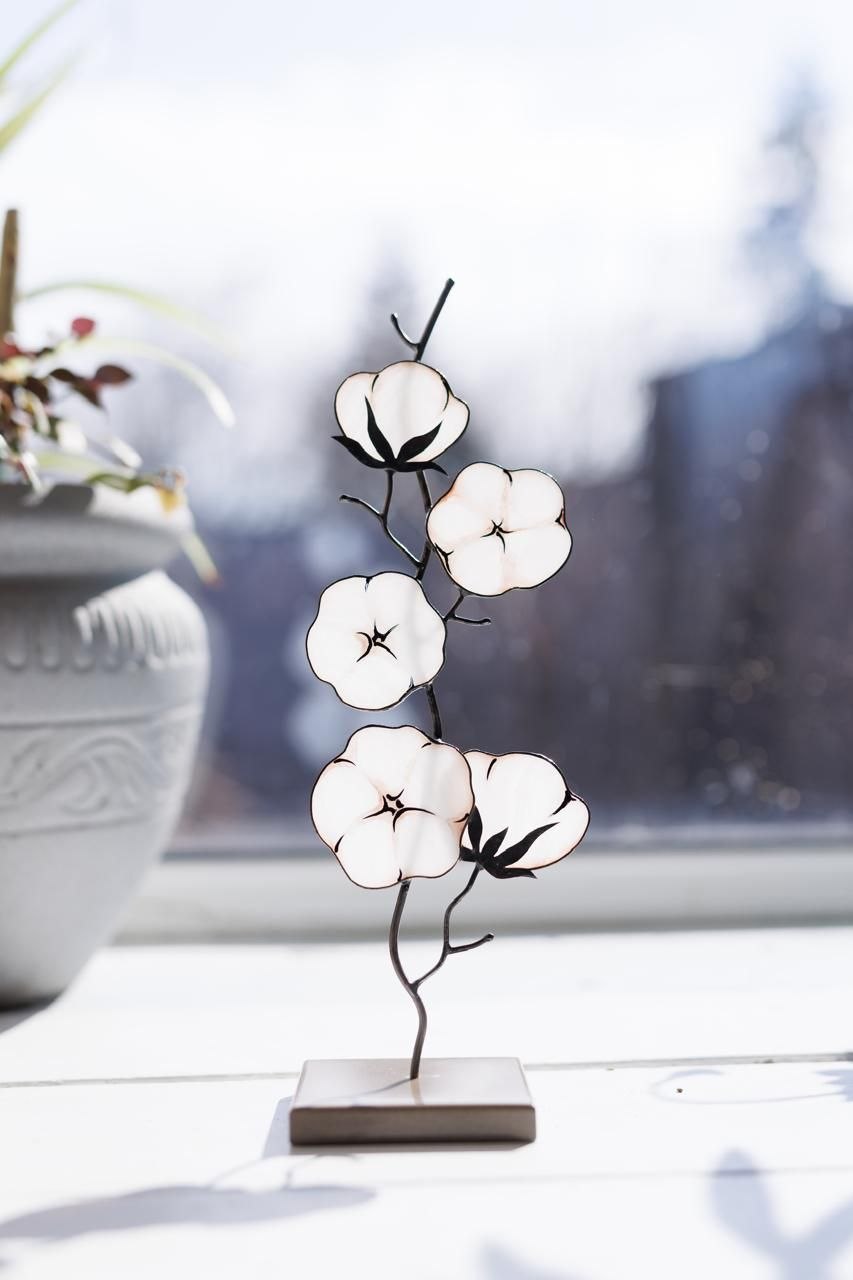 Cotton (Bavovna)