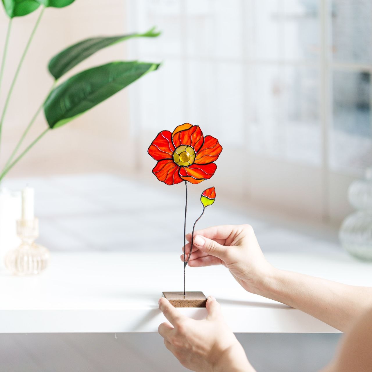 Poppy Flower