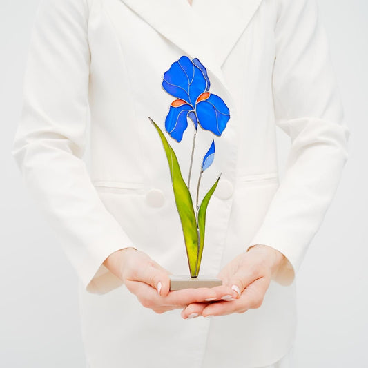 Iris  Flower