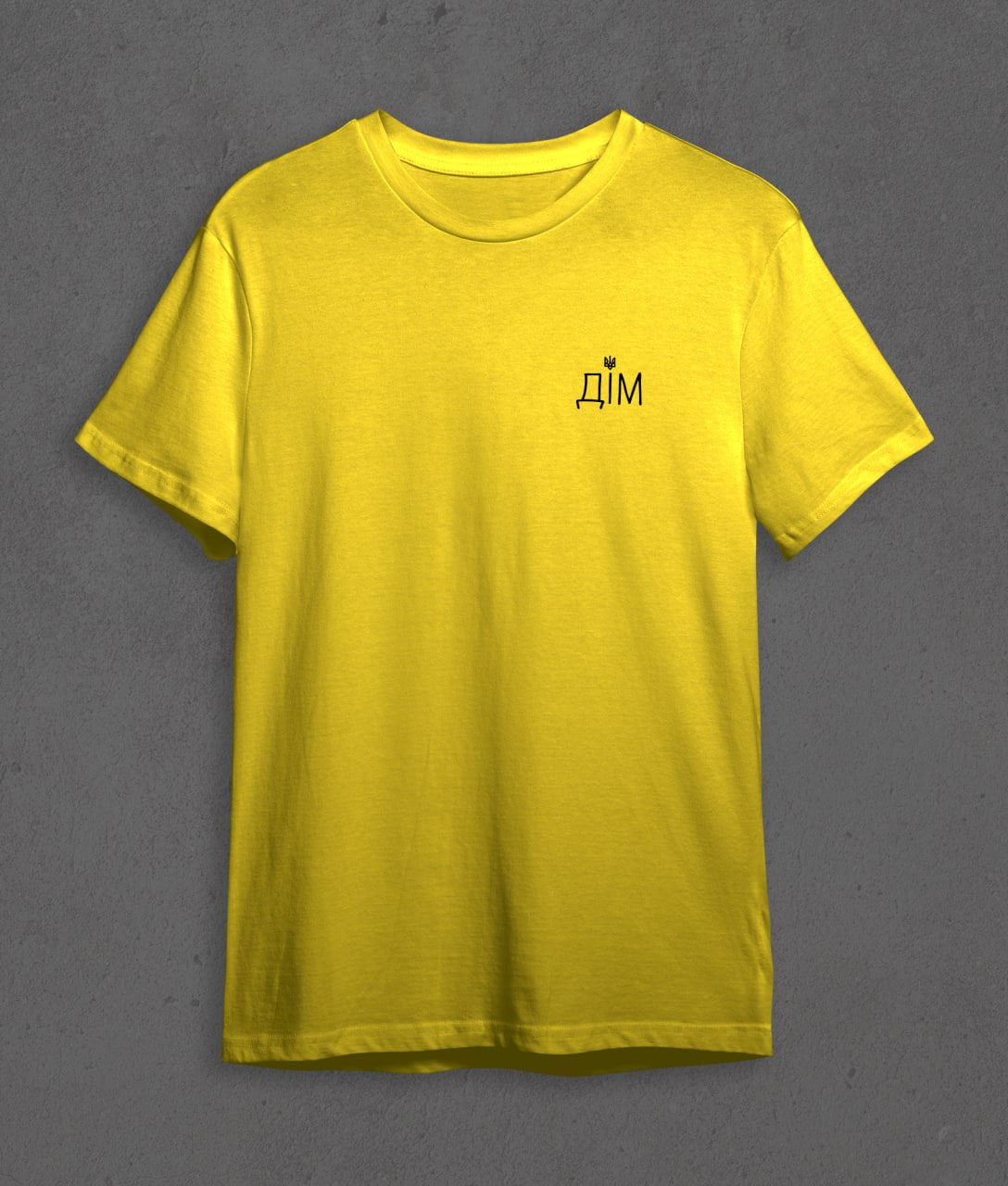 T-shirt ДІМ (small logo)